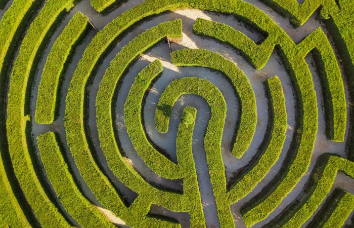 Aerial view of green bush maze