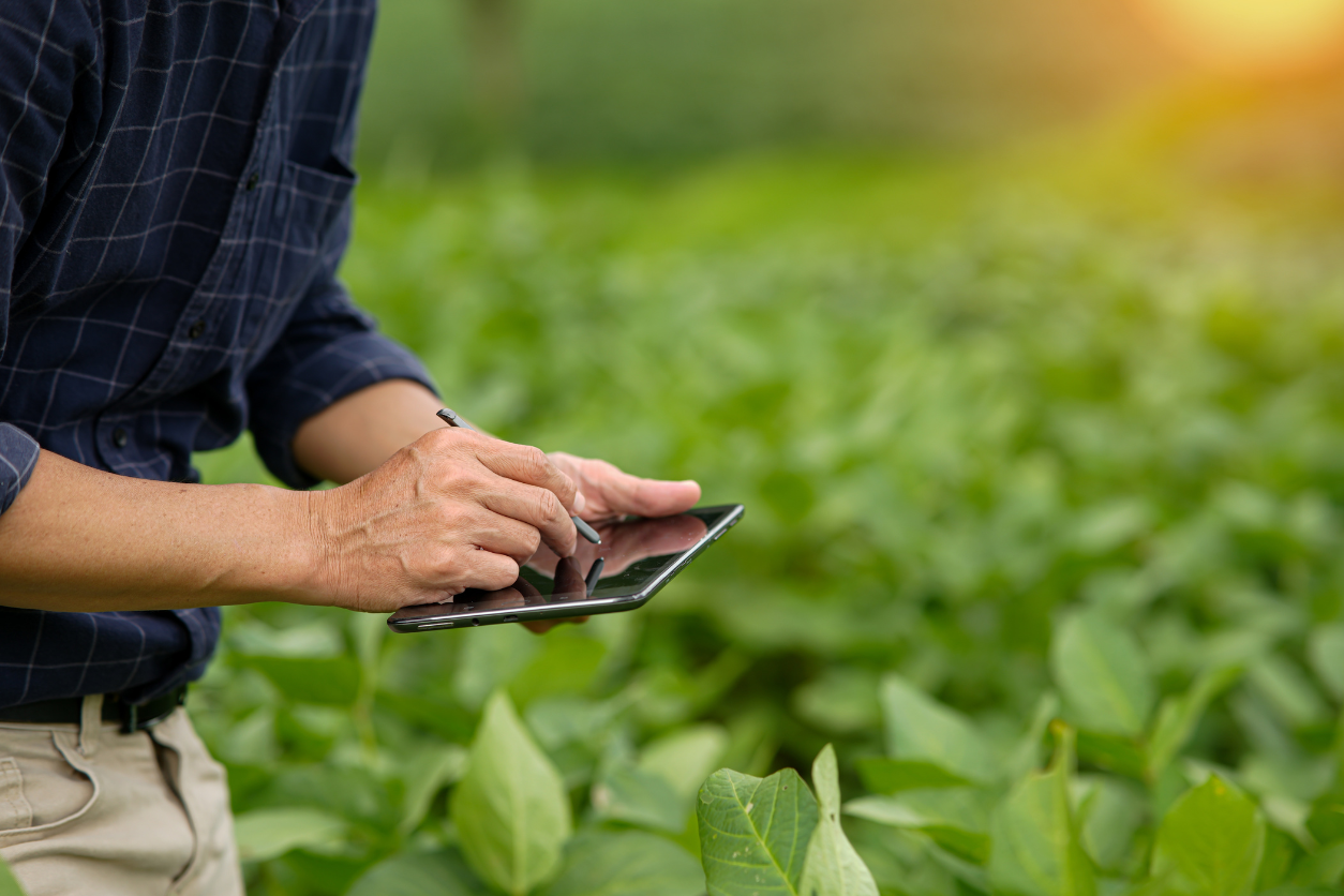 Farmer using a tablet