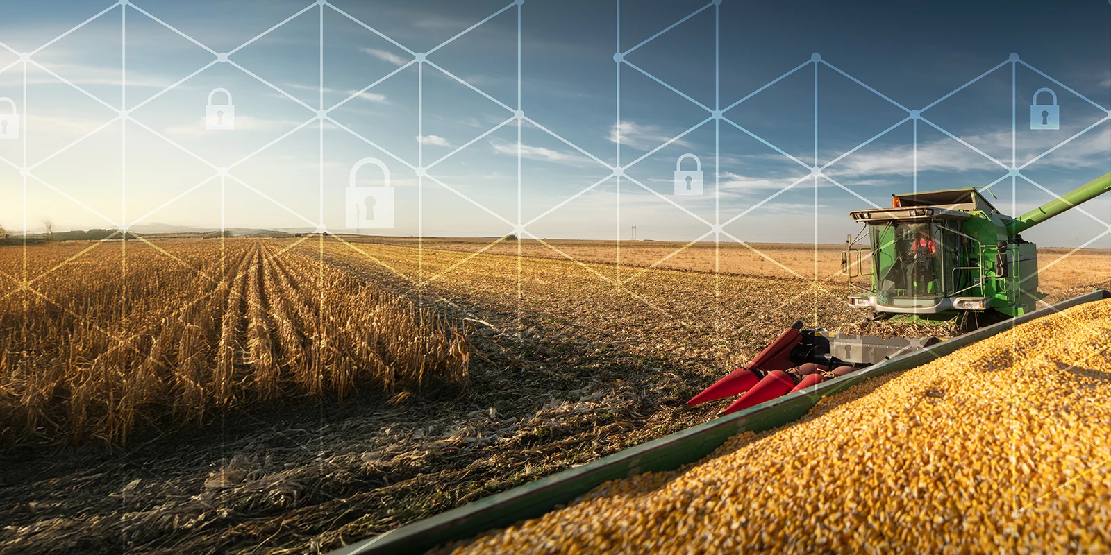 combine in an corn field with cyber icons overlaid