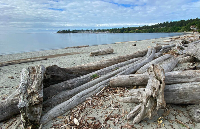 Bay near the southern tip of Vancouver Island