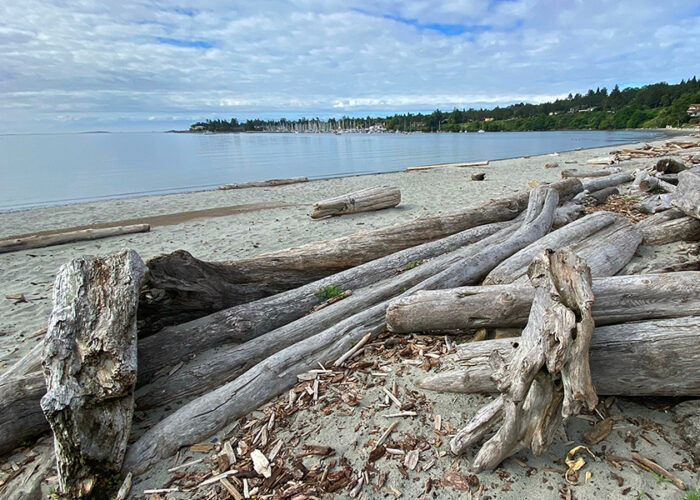 Bay near the southern tip of Vancouver Island