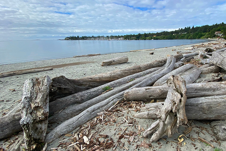 Bay near the southern tip of Vancouver Island