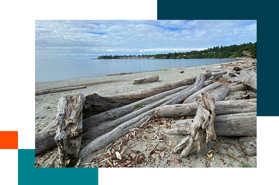 Bay near the southern tip of Vancouver Island