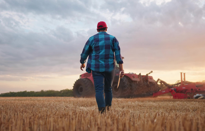 Cyber On The Farm Thumbnail