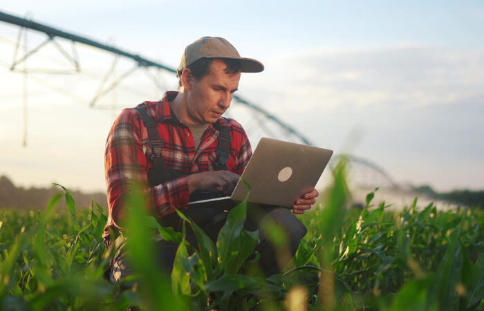farmer working on a laptop in a field