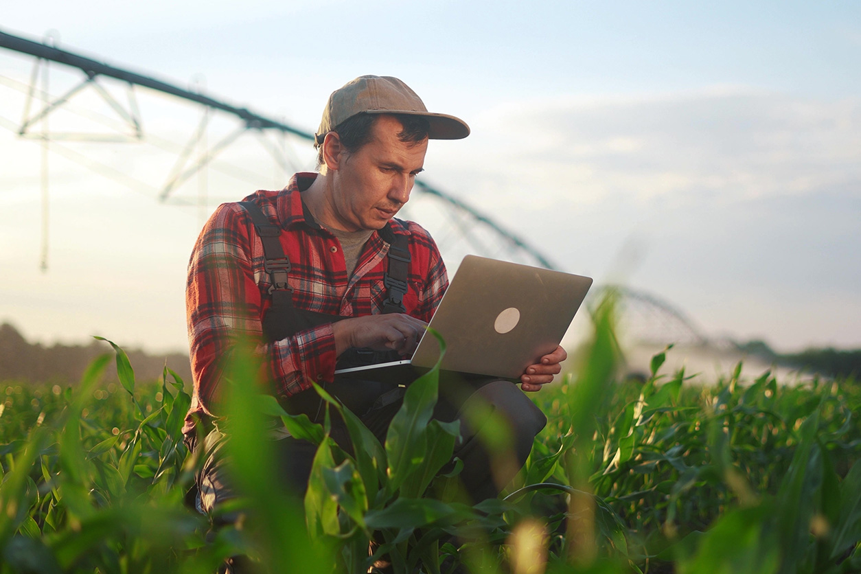 farmer working on a laptop in a field